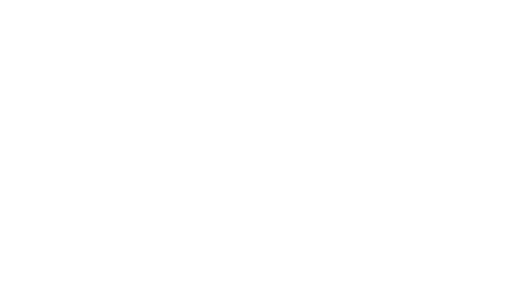 Samsung SDI