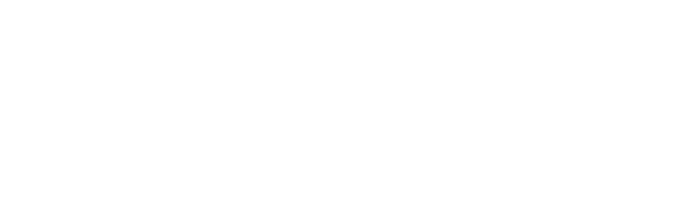 MVM Mobiliti